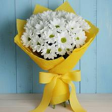Букет цветов из:  Хризантемы в Новоильинском