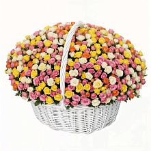 Премиум букет из: Розы #REPLACE_PRED# Новоильинском