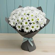 Букет цветов из:  Хризантемы в Новоильинском