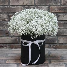 Цветочная композиция из Гипсофила в шляпной коробке в Новоильинском