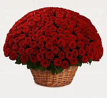 Премиум букет из: Розы #REPLACE_PRED# Новоильинском